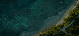 Aerial beach view